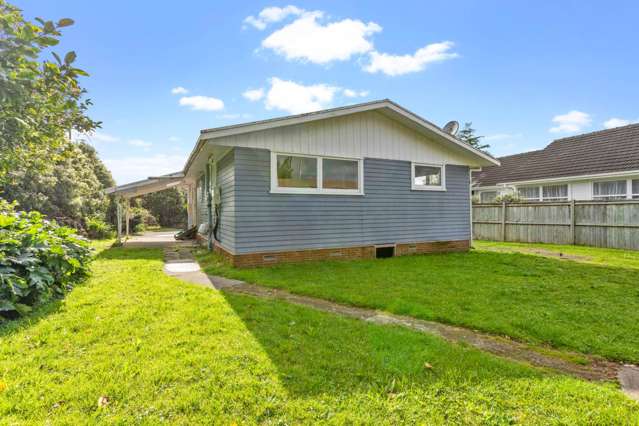 30 Laurel Street Mt Albert_3