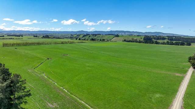 Excellent large Dairy Farm with versatile soils