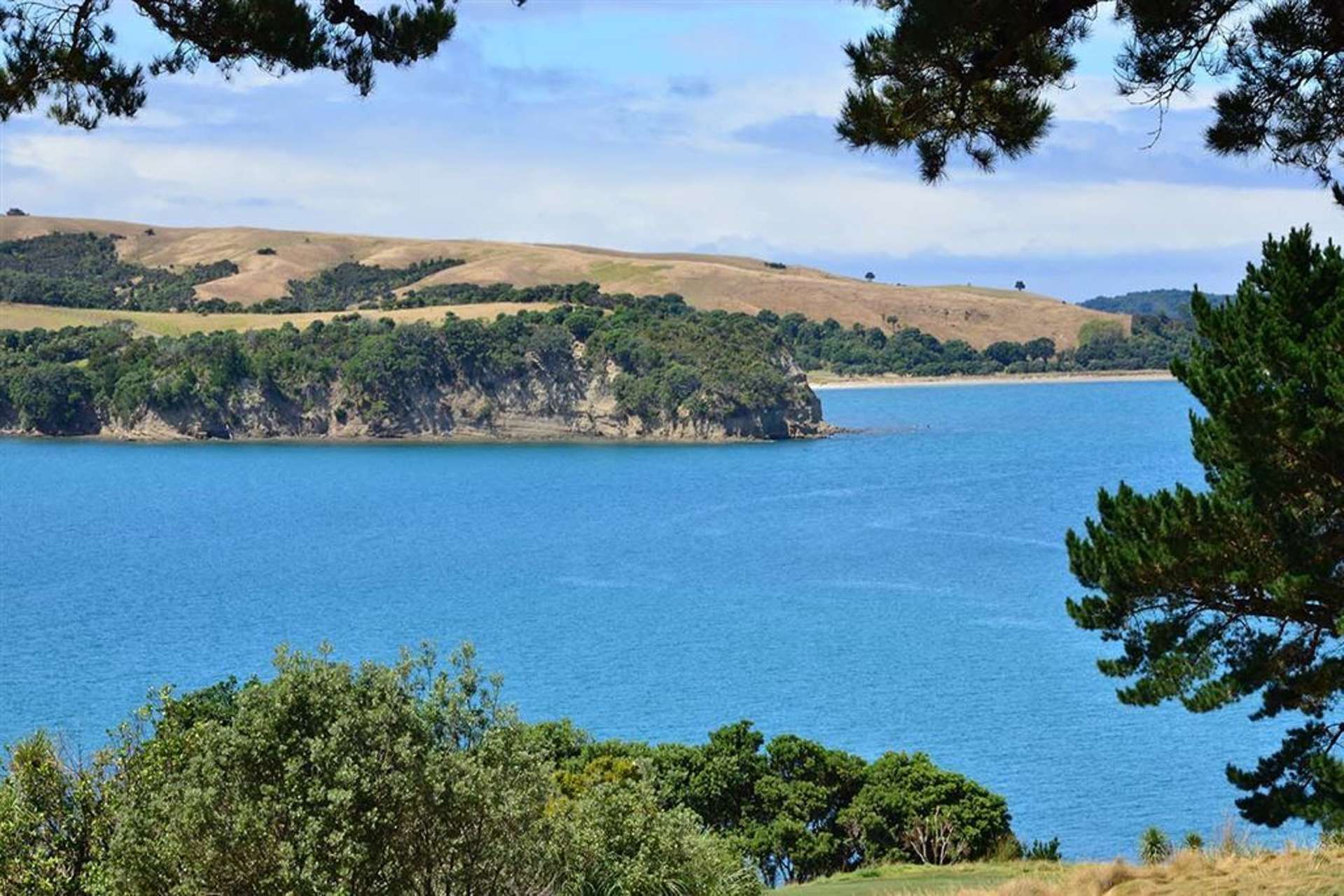 368 Pinecrest Drive Gulf Harbour_0