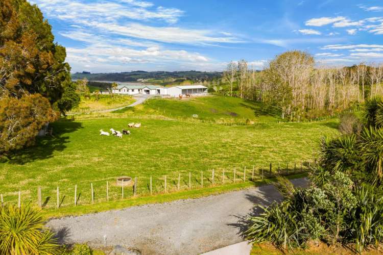 73 Ranganui Road Kaiwaka_80