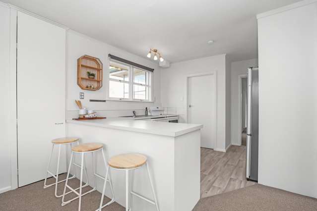 144 Grove Street Tinwald_3