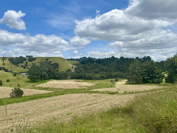 Lot 3 Waiotoi Road Ngunguru_20