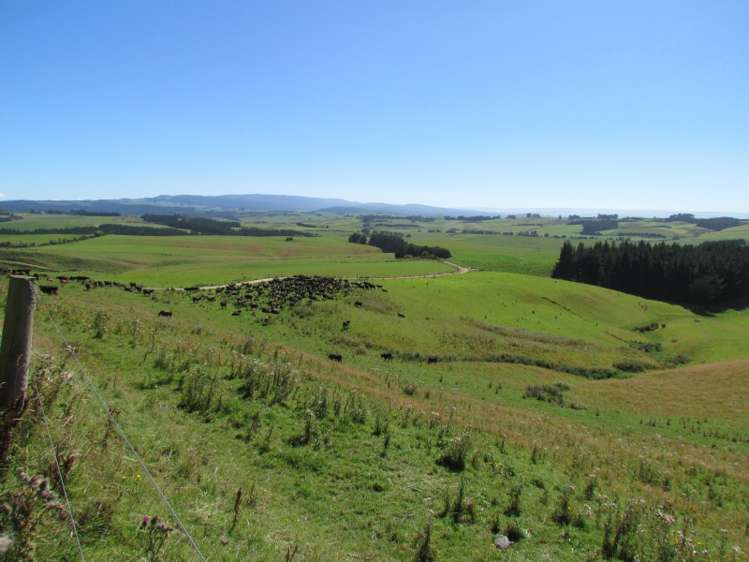 219 Beacon Hill Road Clinton and Surrounds_7