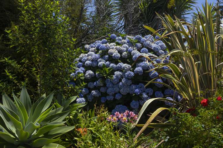 1767 State Highway 10 Kaeo_16