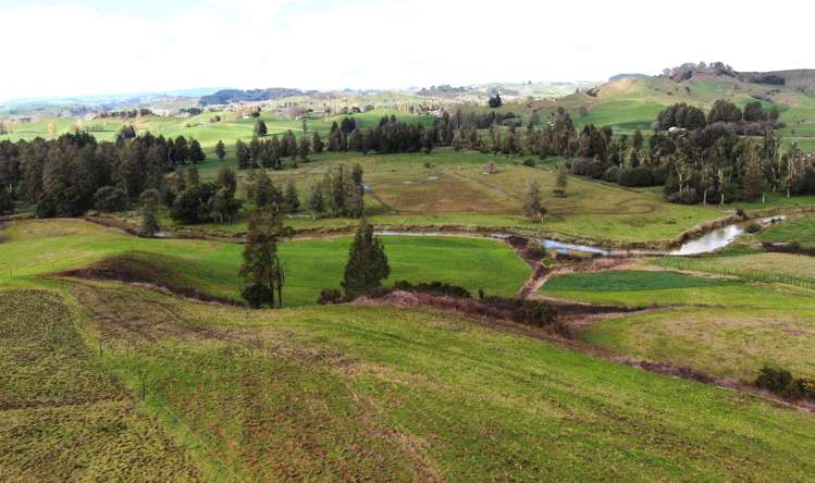 Waitomo Caves Road Waitomo_18