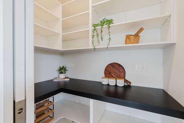 3B Griffiths Place Claudelands_4