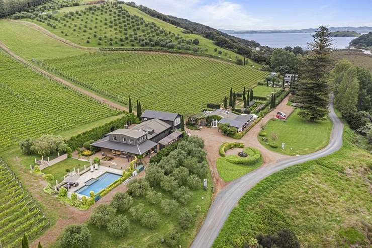 Te Whau lodge, at 36 Vintage Lane, on Waiheke Island, is being marketed to overseas buyers. Photo / Supplied