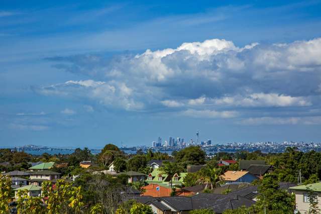 10A Mescal St Massey_2