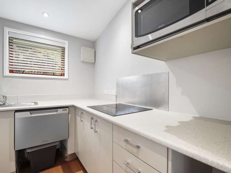 145 Upper Harbour Drive Greenhithe_19