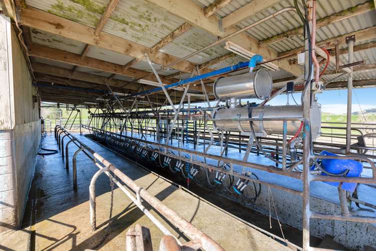 400 Partridge Road Wellsford_8