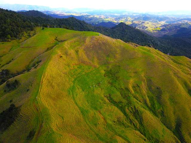 92 Takahue Saddle Road Takahue_3