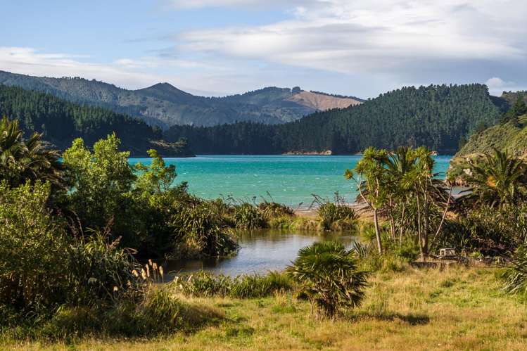 528 Oyster Bay Marlborough Sounds_49