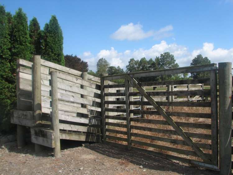 46/4655 State Highway 26 Te Aroha_14