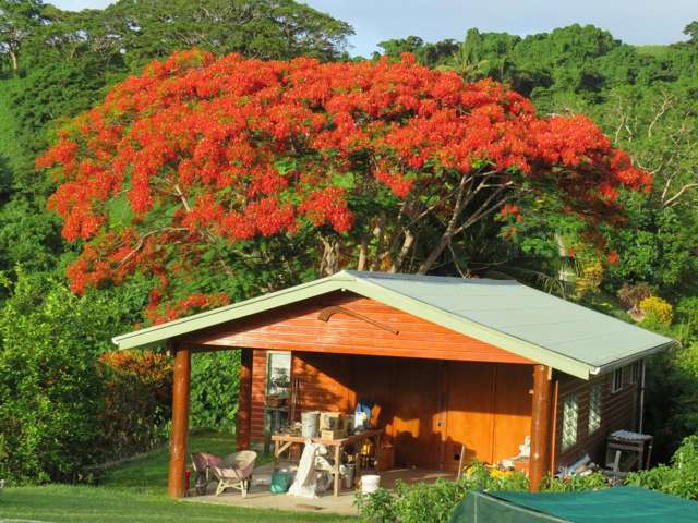 Address withheld Savusavu_4