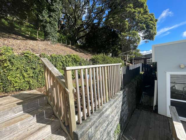 15 Sadgrove Terrace Mount Albert_2