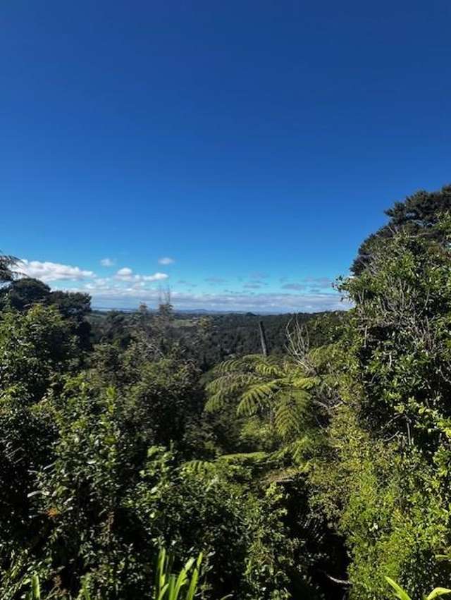 50 Kitewaho Road Swanson_3