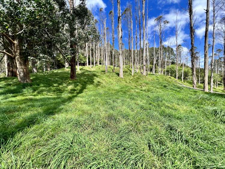 637a Awahou Road Murupara Surrounds_15