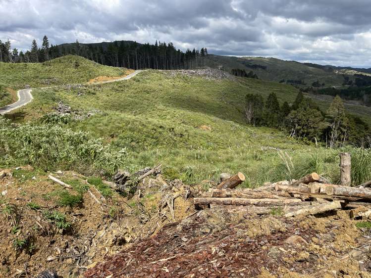 Iwitaua Road Kaitaia_4