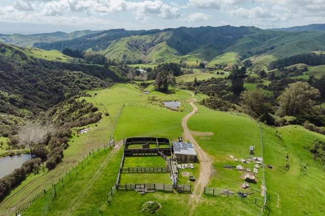 514 Totara Road Kumeroa_1