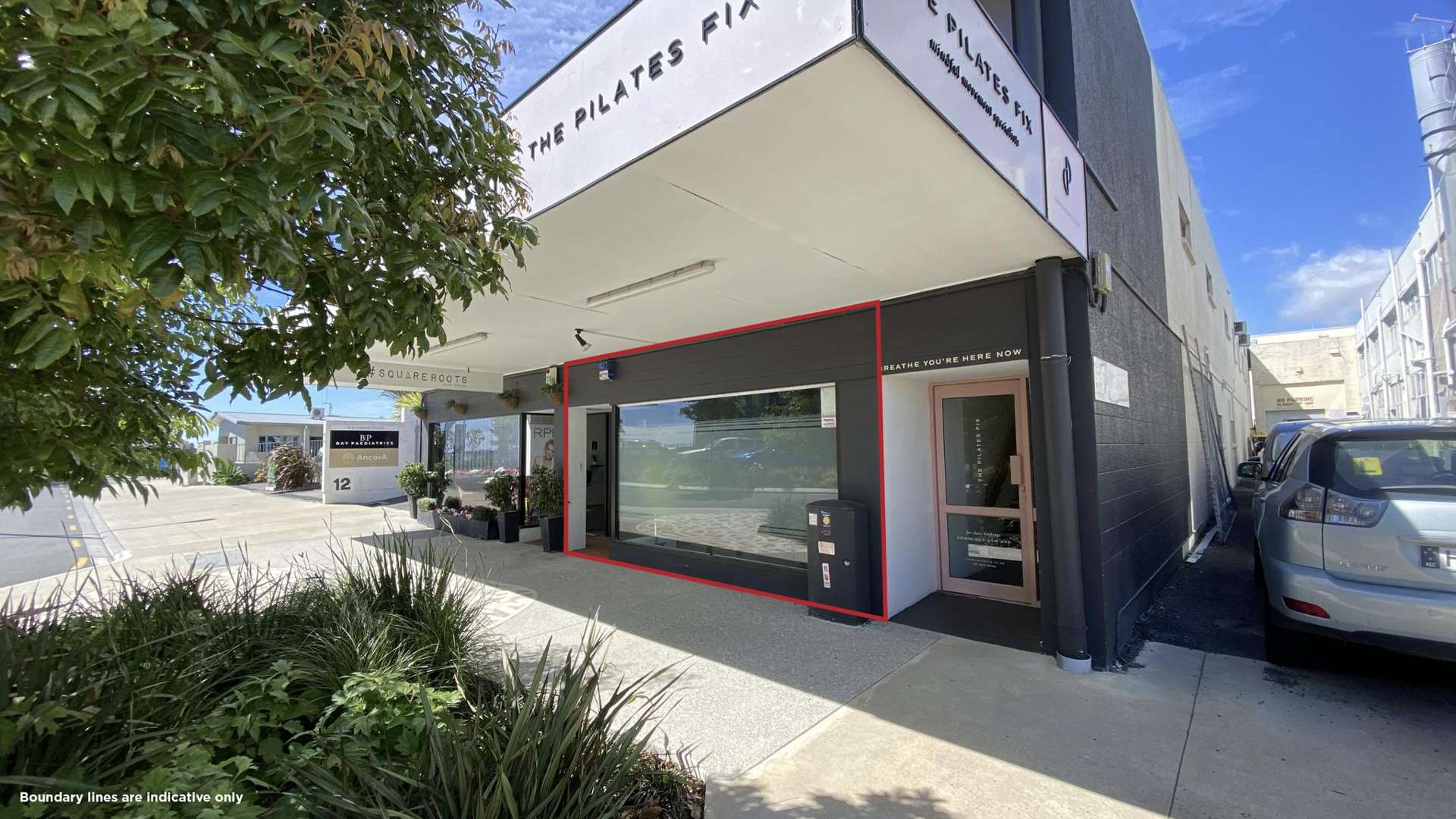 Ground Floor/12 Elizabeth Street Tauranga Central_0