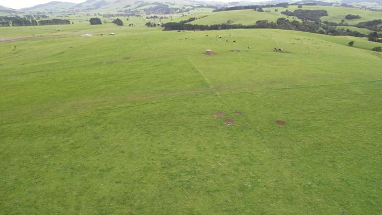 3902 State Highway 12 Dargaville Surrounds_14