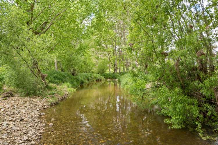 98 Thorpe-Orinoco Road Ngatimoti_33