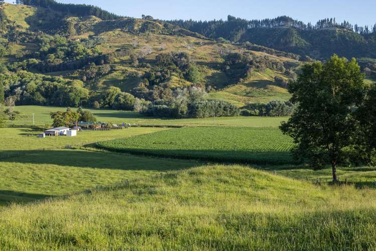 749 Kanakanaia Road Te Karaka_6