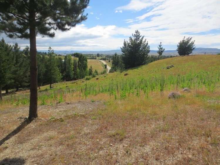 117 Letts Gully Road Alexandra_15