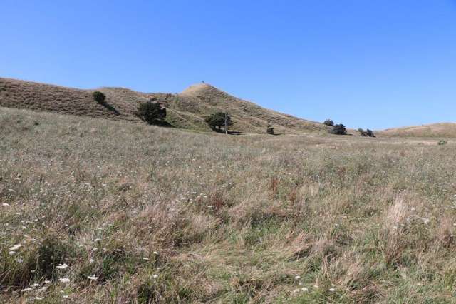 Te Akau Road Te Akau_1