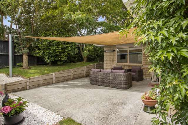 11B Mackay Street Waihi_1