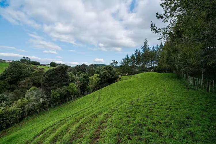 63 Old Coach Way Ramarama_19