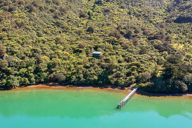Nikau Bay Kenepuru Sound_5