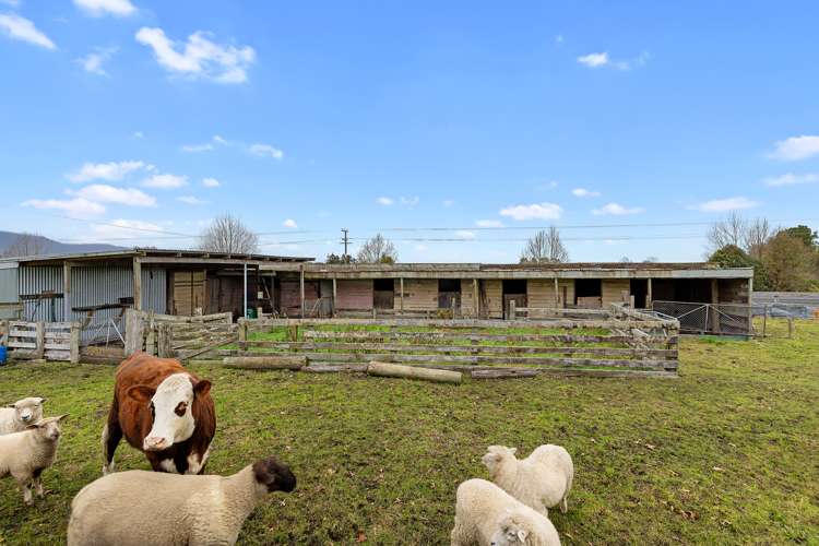 4623 State Highway 26 Te Aroha_25