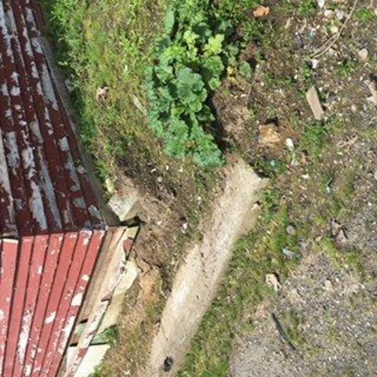 33 Station Street Tirau_83