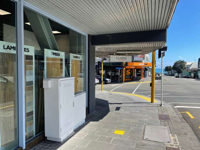 44 Liardet Street New Plymouth_4