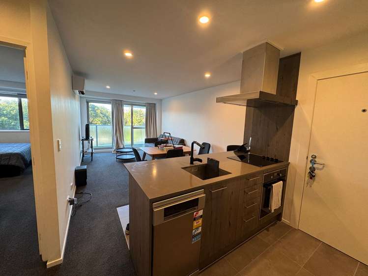 6 Winchester Street Grey Lynn_25