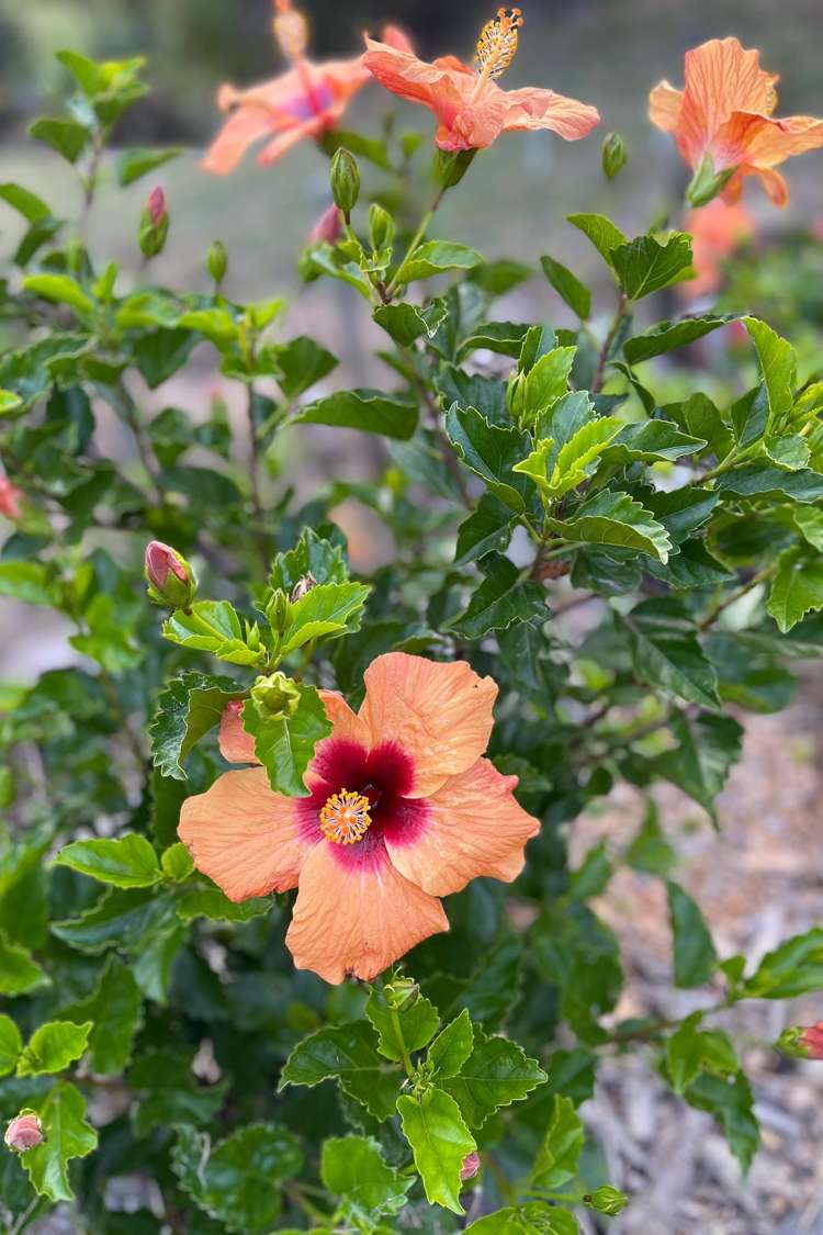 32 Admiral Way Tutukaka_5