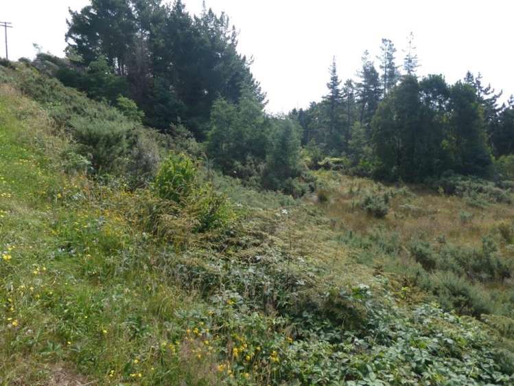 Keogans Road Hokitika_11