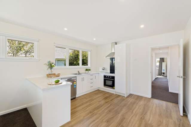 47 Emlyn Place Avondale_4