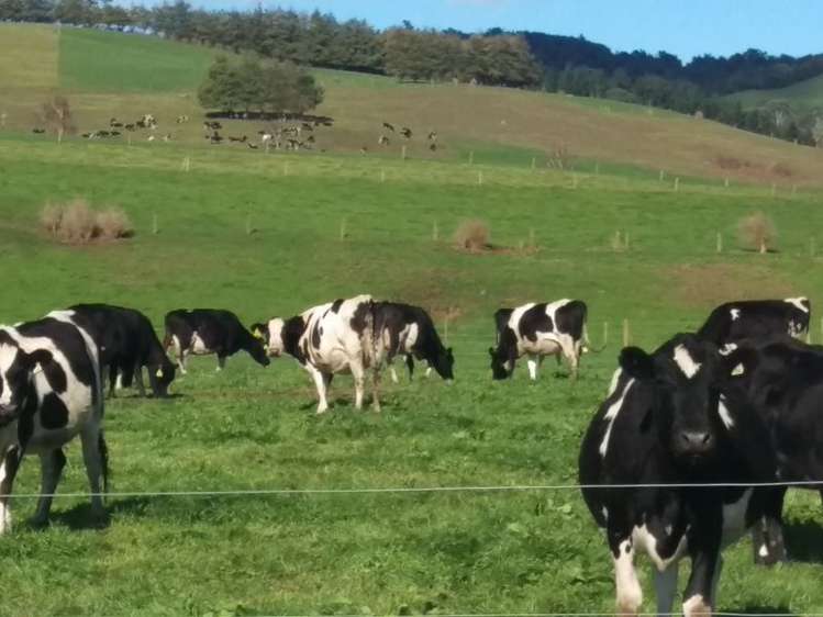 648 Scotsman Valley Road Tauwhare_19