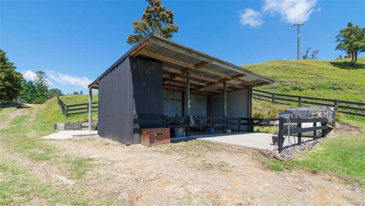 201 Forest Road Oruanui_17