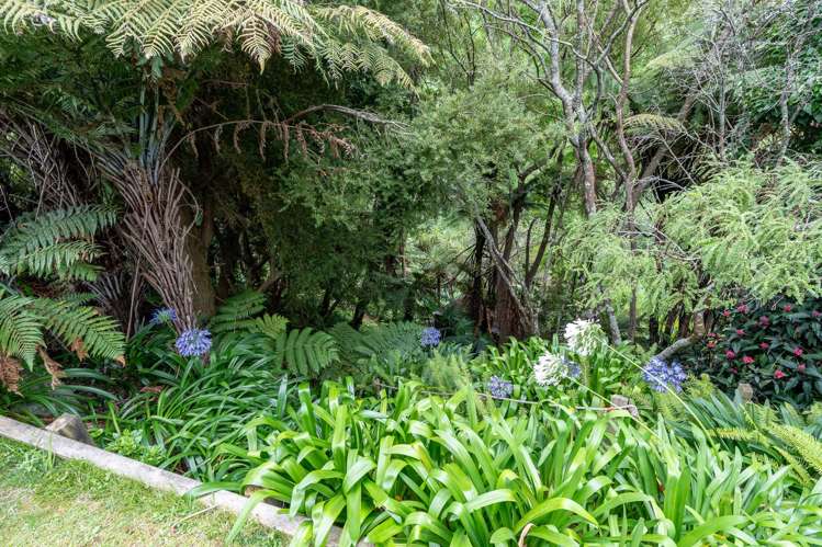 9 Mcdowall Place Queenwood_19