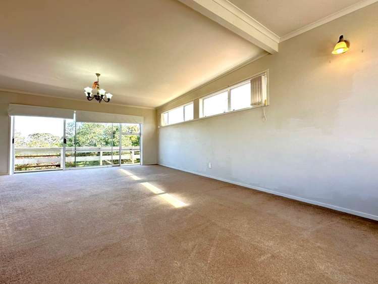 354 Hillsborough Road Hillsborough_15