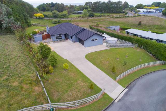 138 Greer Court Bunnythorpe_1
