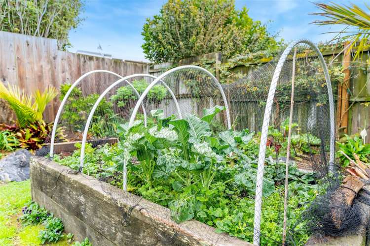 20 Seabreeze Road Mangawhai Heads_15