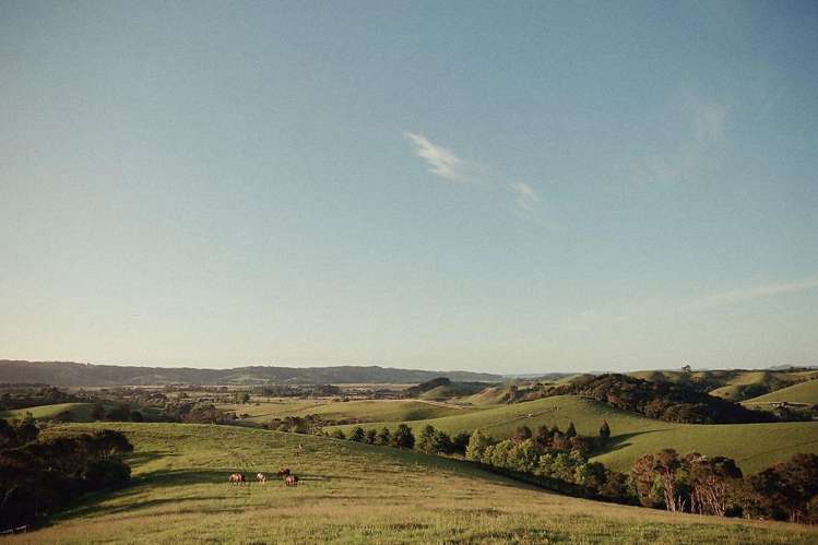114 Ness Valley Road_0