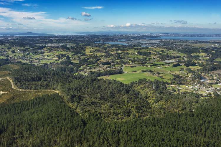 Cobblers Lane Riverhead_9