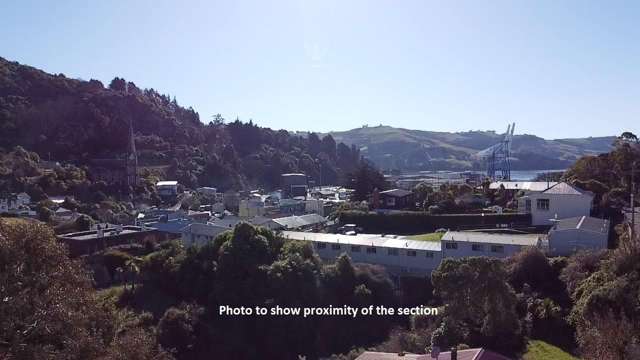 21 Currie Street Port Chalmers_4