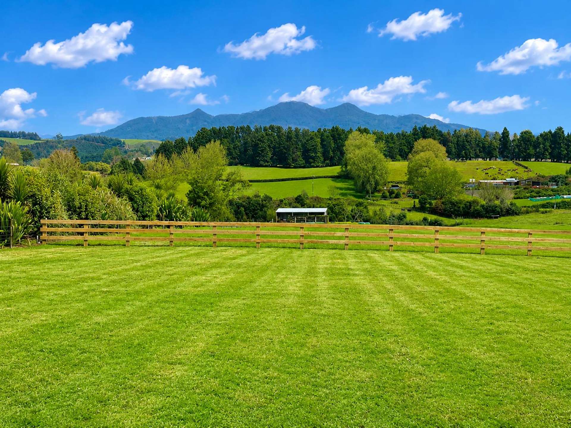102 Hudson Street Pirongia_0