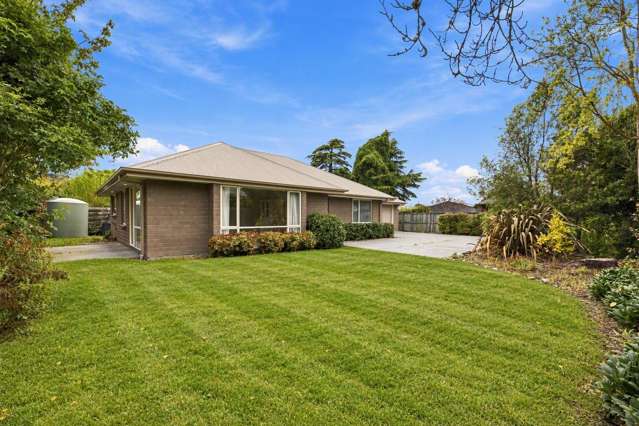 Practical, Peaceful, and Packed With Potential!